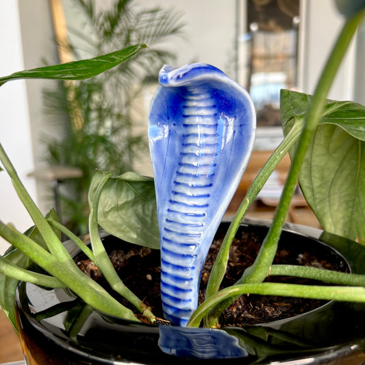 Seconds & Samples - Planter Cobra 4 - Hand Crafted Porcelain Plant Ornament.  Snake with Detail and Brass Rod for Planting