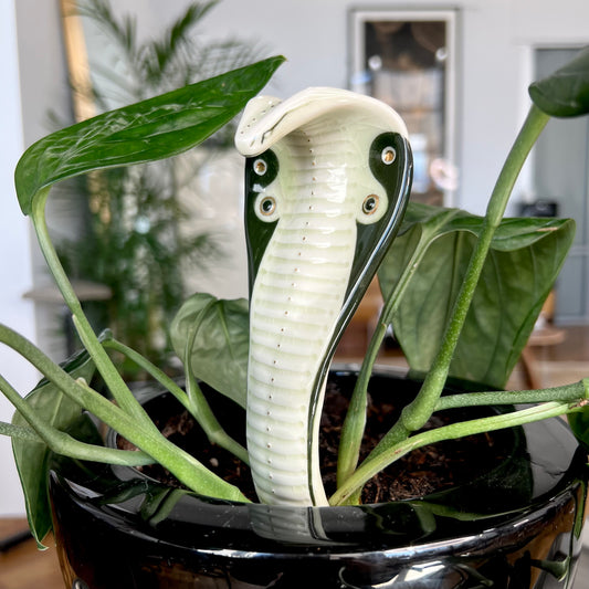 Seconds & Samples -  Planter Cobra 7 - Hand crafted Porcelain Plant Ornament. Snake with Detail & Brass Rod for planting.