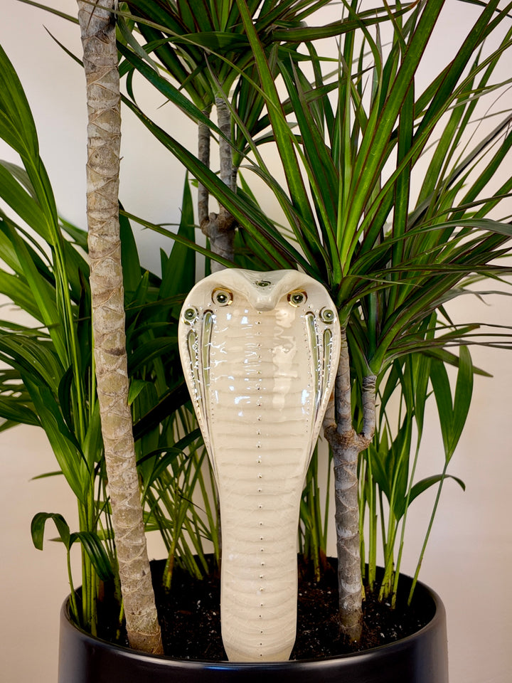 A ceramic cobra snake garden statue with a glossy cream-white finish and black details, displayed in a black planter among green potted plants.