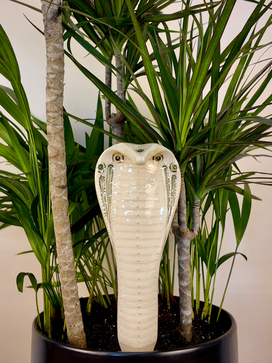 A ceramic cobra snake garden statue with a glossy cream-white finish and black details, displayed in a black planter among green potted plants.