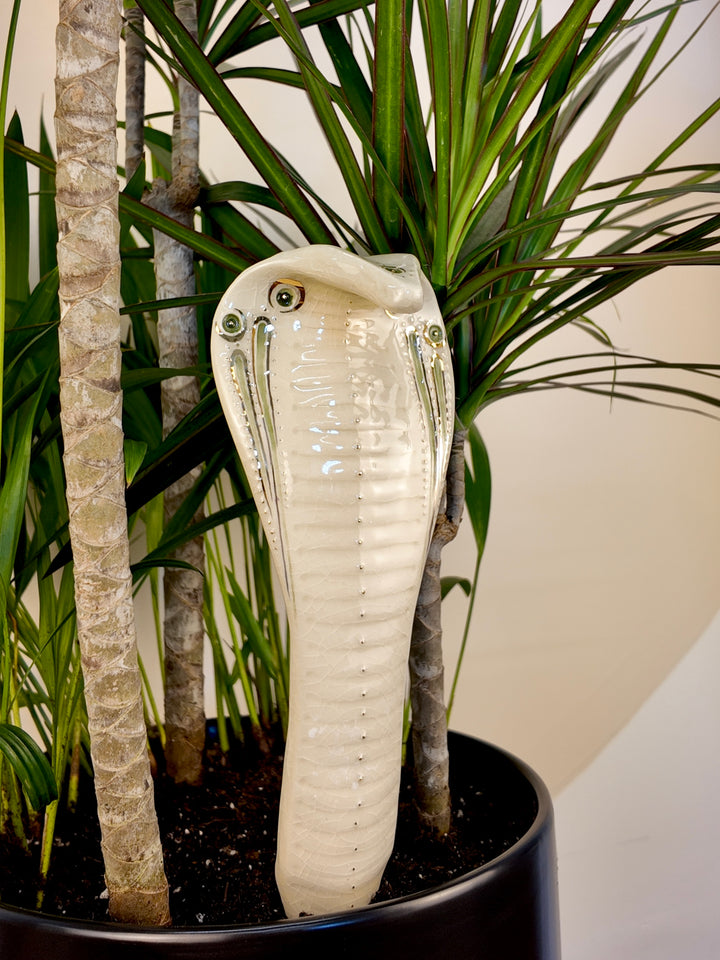 A glossy porcelain cobra snake garden fountain in an off-white glaze, styled in a black planter with green plants.