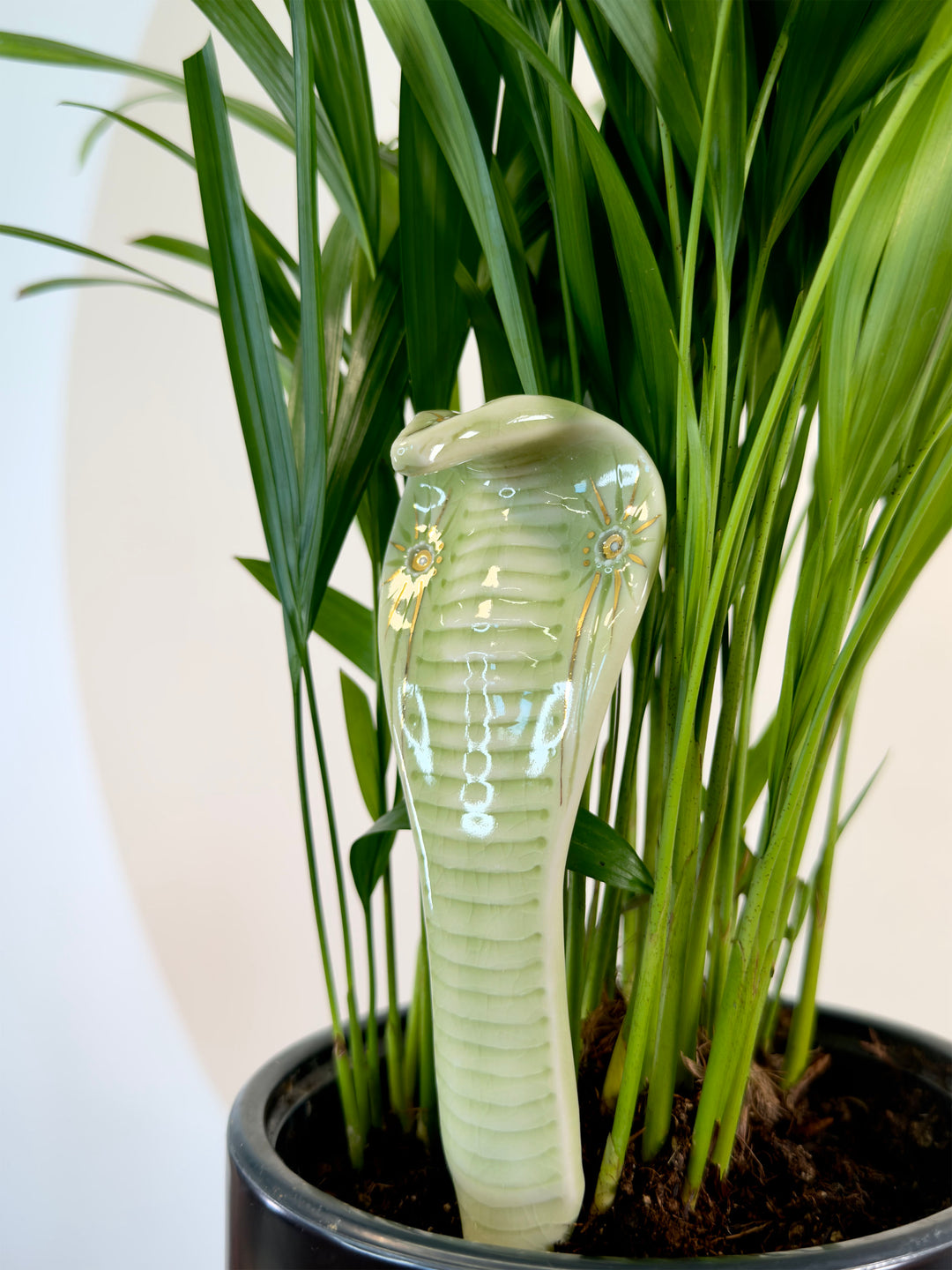 A glossy ceramic cobra snake garden stake in a pale green glaze, standing upright in a black pot among tall green ornamental grass leaves.