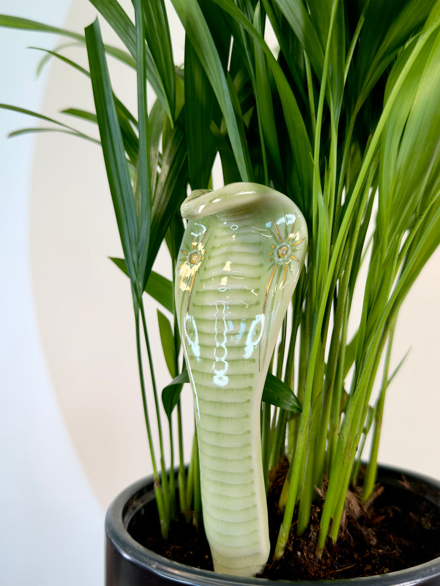 A glossy ceramic cobra snake garden stake in a pale green glaze, standing upright in a black pot among tall green ornamental grass leaves.