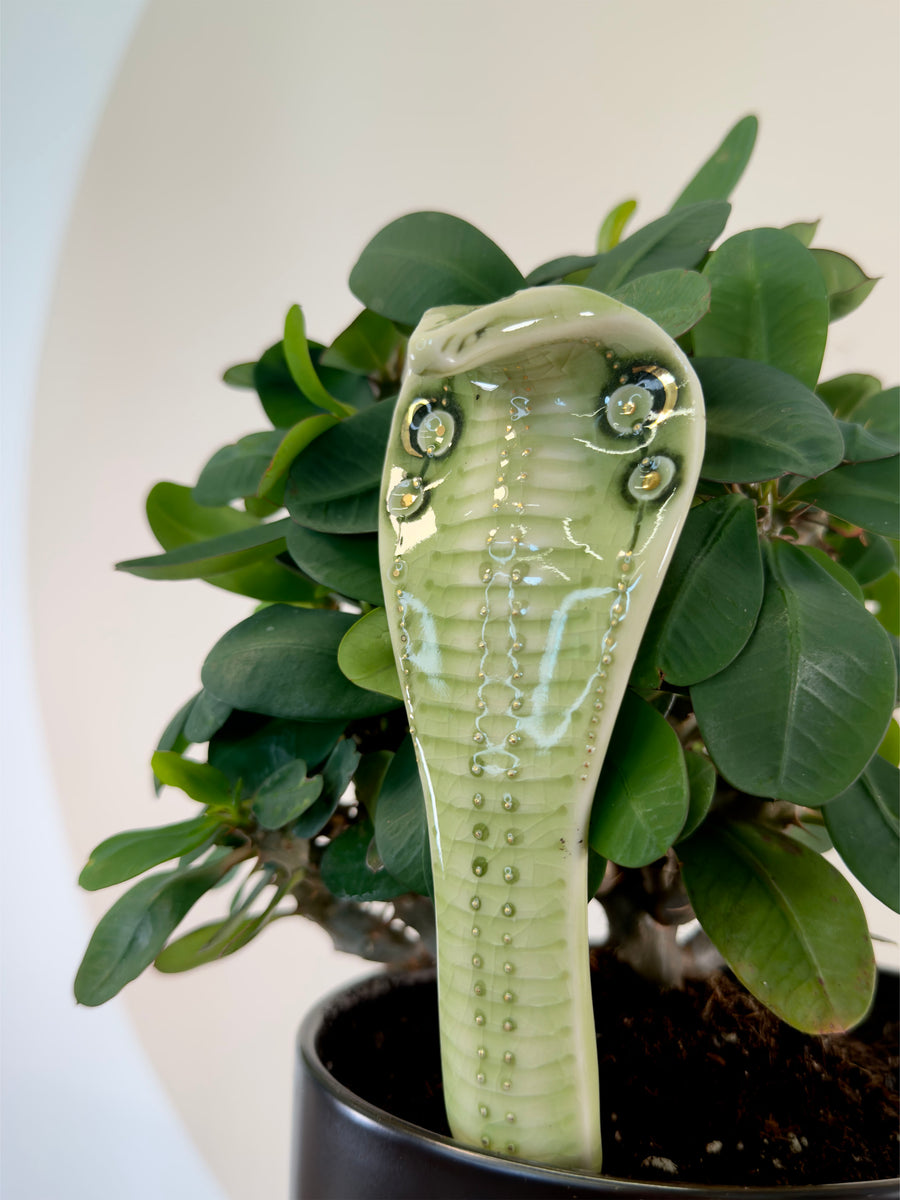 A glossy light green ceramic cobra figurine with raised textured scales and small circular details, displayed in front of a potted green leafy plant.