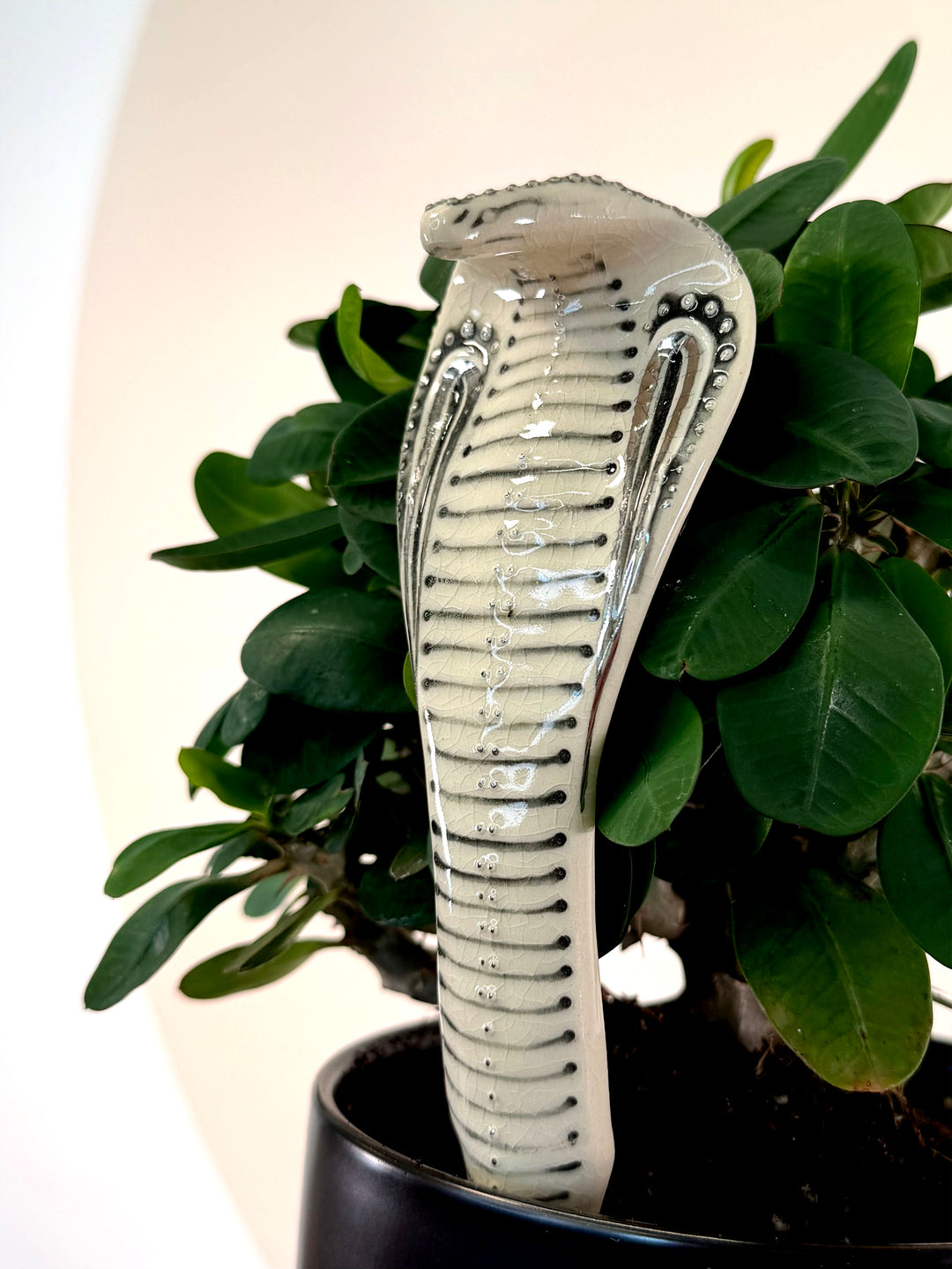 A ceramic cobra snake garden fountain sculpture with a glossy cream-white finish and black details, shown emerging from a black planter surrounded by green foliage.