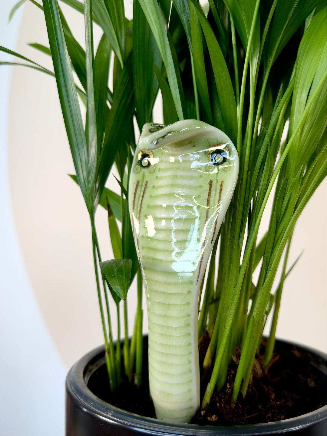 A glossy ceramic cobra garden statue with a light green body and dark red markings, nestled among green ornamental grass in a black pot.