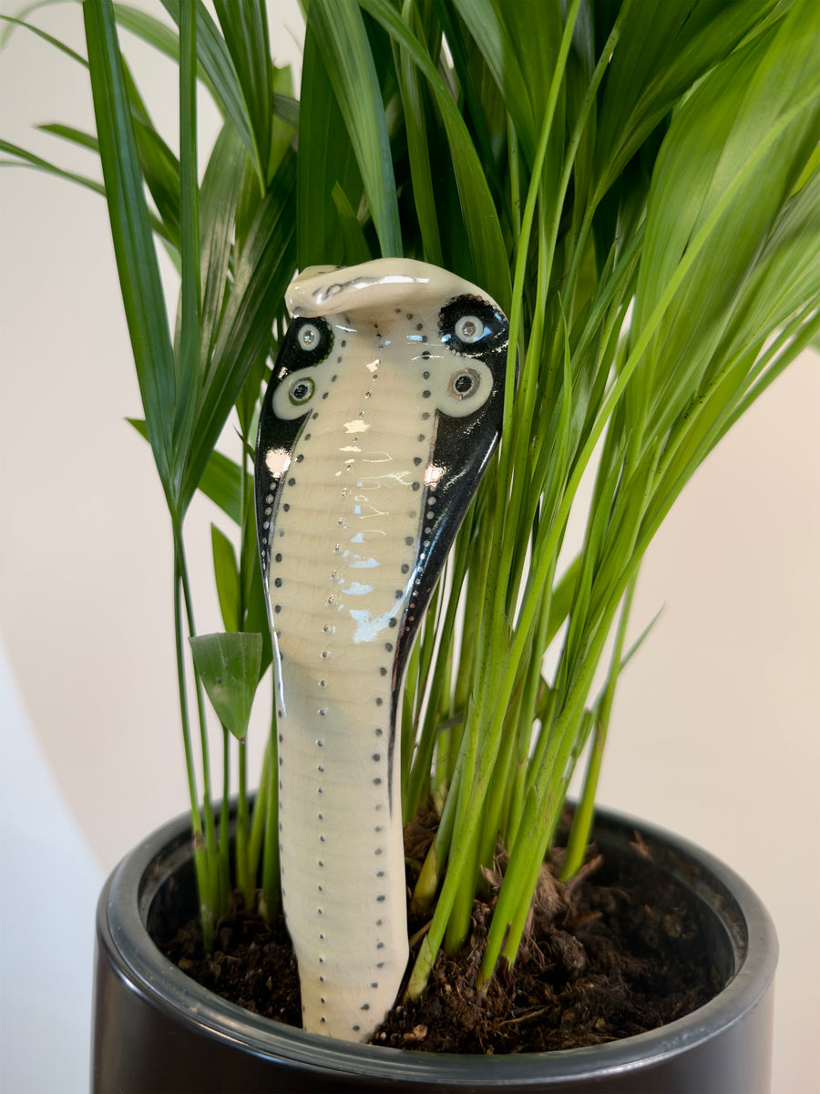 A glossy ceramic cobra garden stake shaped like a coiled snake, displayed in a black planter filled with soil and green ornamental grass leaves against a plain light background.