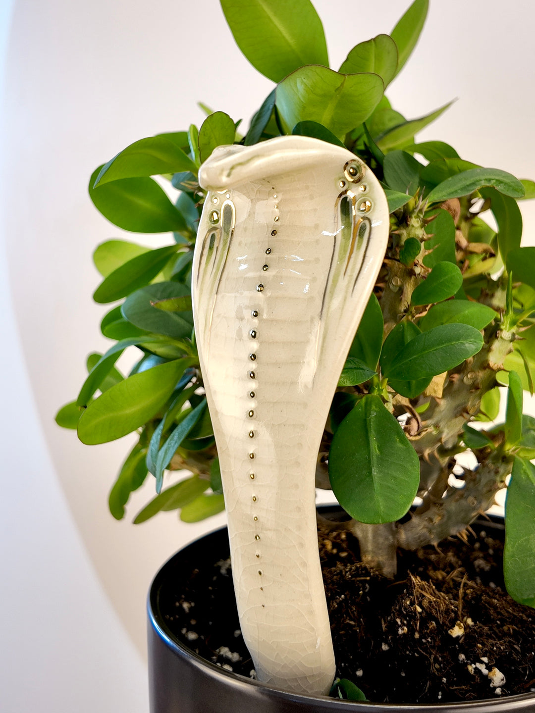 A glossy white ceramic cobra garden stake with a raised central ridge and small metallic dots, shown planted in a potted green leafy plant against a plain light background.