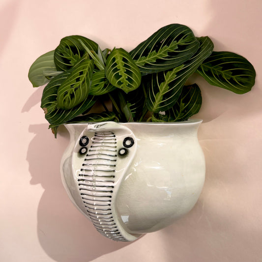 Snake Planter 3 - Hand crafted Porcelain Home Planter with Snake Detail