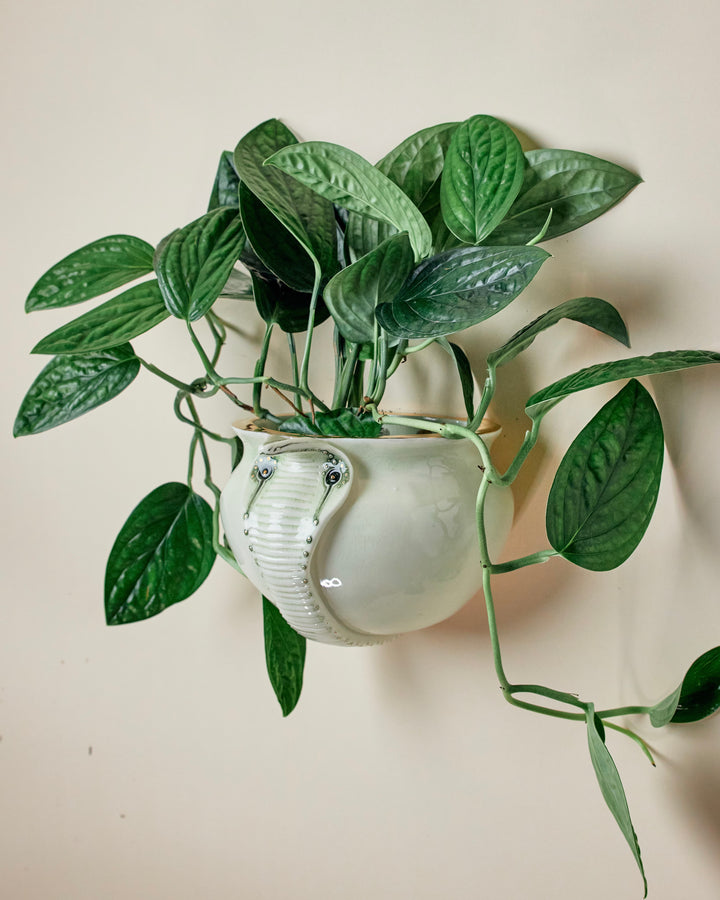 Snake Planeter 1 - Hand crafted Porcelain Home Planter with Snake Detail