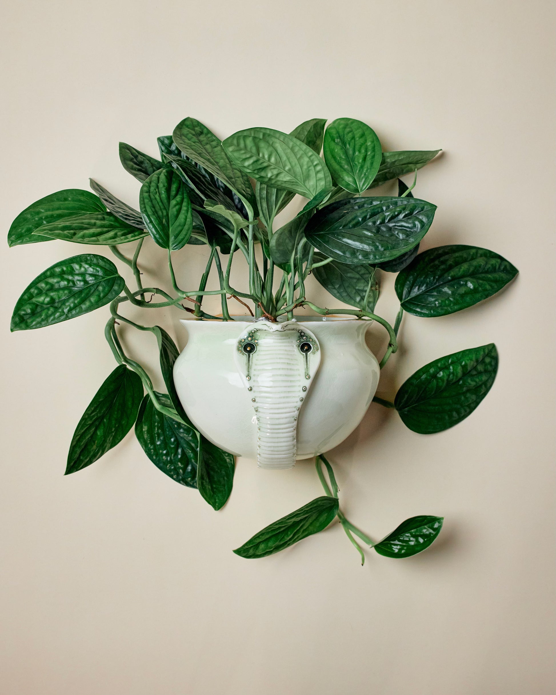 Snake Planeter 1 - Hand crafted Porcelain Home Planter with Snake Detail