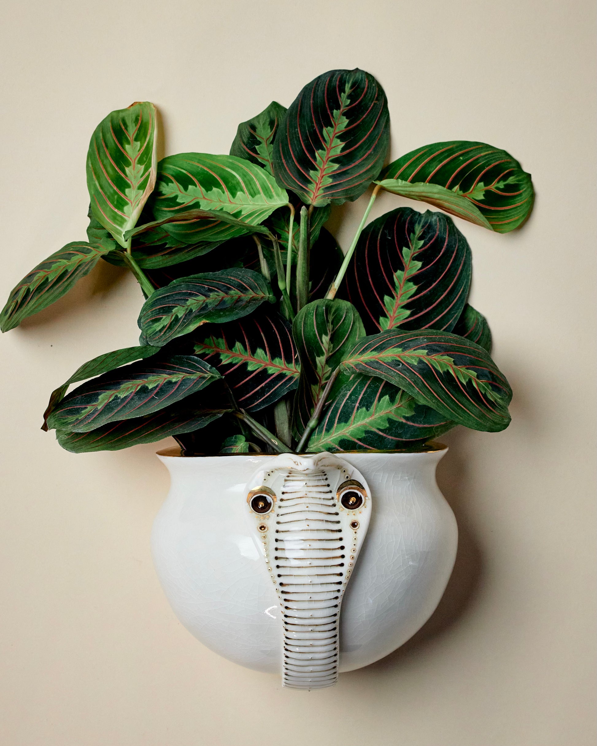 Snake Planter 2 - Hand crafted Porcelain Home Planter with Snake Detail
