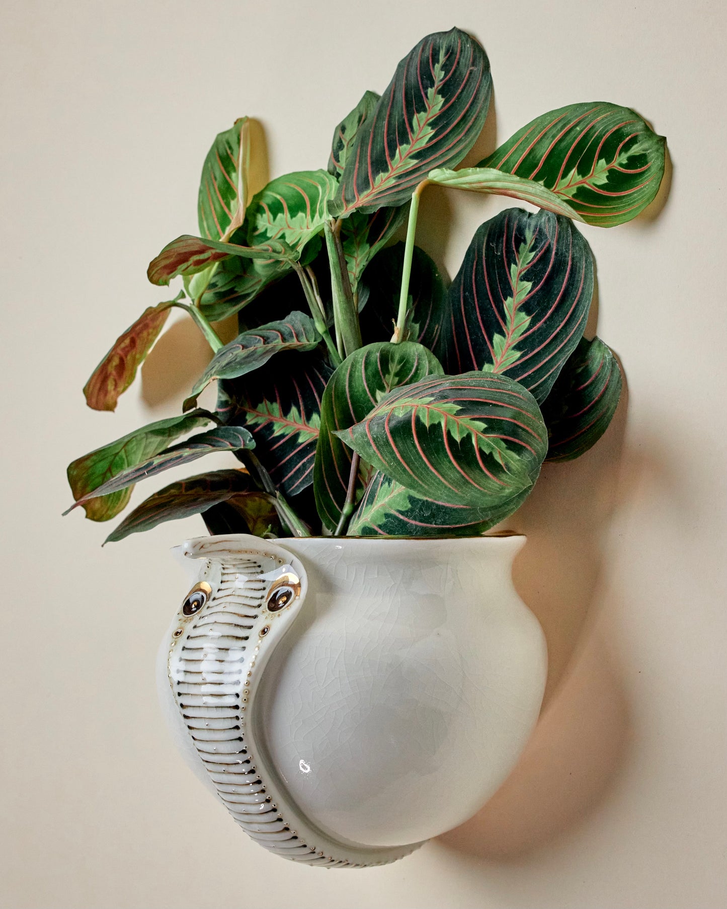 Snake Planter 2 - Hand crafted Porcelain Home Planter with Snake Detail