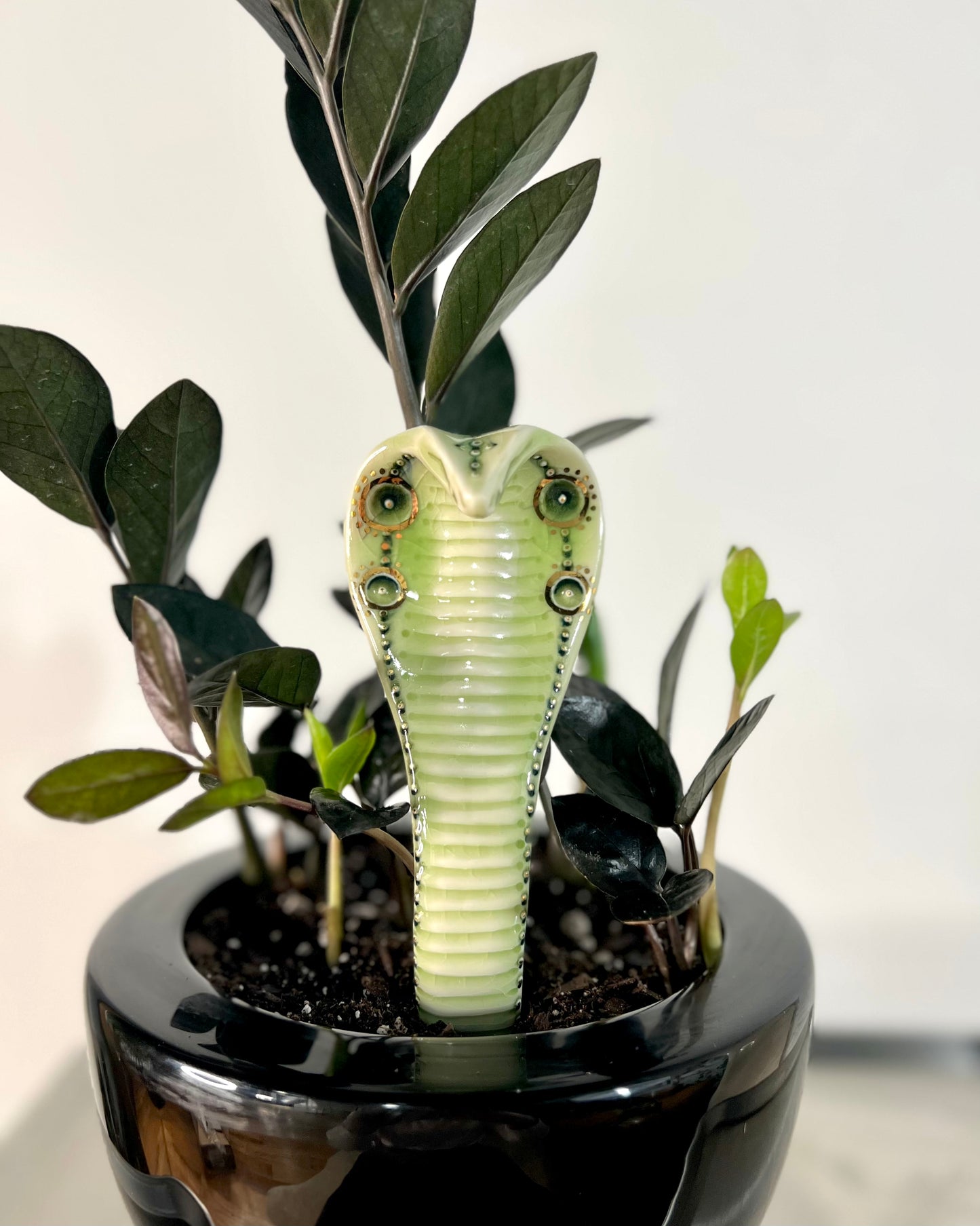 Planter Cobra 3